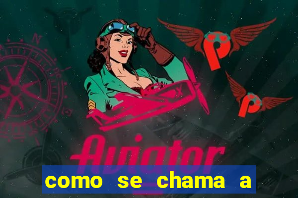 como se chama a empresa que distribui as cartas no brasil